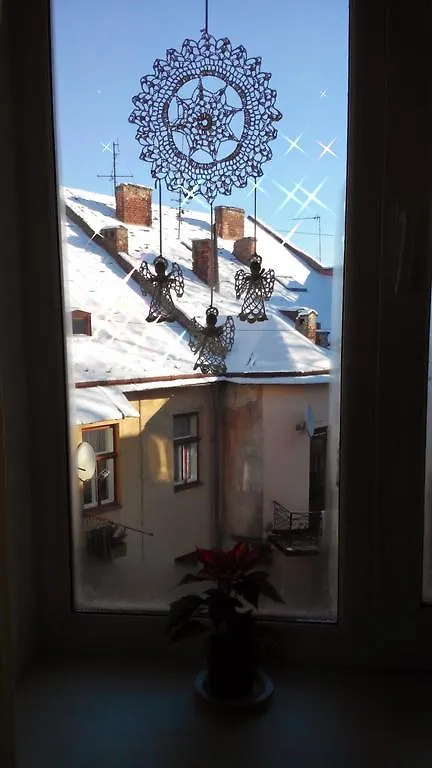 Near Citadel Apartment Lviv